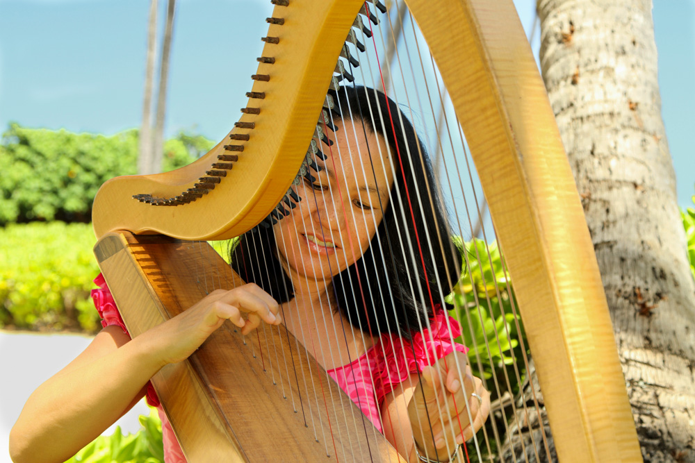 Beautiful harpist playing